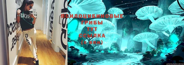 герыч Ладушкин