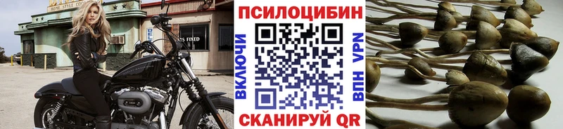 Галлюциногенные грибы Psilocybe Чишмы
